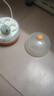 小熊（Bear）煮蛋器蒸蛋器单层家用自动断电迷你早餐神器鸡蛋羹蒸鸡蛋器蒸蛋机炖蛋器蒸蛋锅防干烧便携式电蒸锅 单层 实拍图