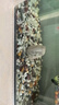 派乐特鱼缸底砂造景石头子五彩石溪流石水族箱龟缸多肉装饰彩色雨花鹅卵 实拍图