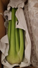 新鲜出土西芹大颗半叶绿色蔬菜榨汁专用甜脆嫩心时令蔬菜现割现发 2斤西芹超值装 实拍图