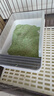宠幸  升级2mm绿茶豆腐猫砂2.7kg*4 纯豆腐可冲厕所除臭低尘猫砂 实拍图