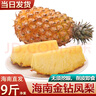 译优农正宗海南金钻凤梨新鲜热带水果当季无眼香水金菠萝手撕凤梨特产 净重8.5-9斤【精选装】海南直发 实拍图