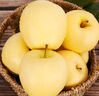 甜醉了 烟台苹果黄元帅粉面苹果黄金帅黄香蕉山东特产新鲜水果整箱生鲜 净8.5斤75-80mm 实拍图