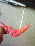 磷虾南极磷虾红虾皮小虾米煲粥炖汤提鲜食材无添加 500g 实拍图