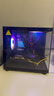 微星（MSI） i5 12400F/13400F/RTX3060/4060/5060Ti黑神话悟空游戏主机电脑台式机组装电脑主机DIY整机 配置五 i5 13400F丨RTX3070 8G 实拍图