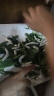 沃绣 蚕宝宝当天发货 蚕宝宝活体蚕卵小蚕彩色蚕桑叶新鲜桑叶养蚕套装 蚕卵20粒+桑叶+毛书盒套装 实拍图