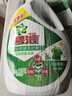 碧浪洗衣液抑菌科技抗菌更除螨日晒般清新机洗手洗家庭衣物清洁批发 抗菌除螨2.75kg 实拍图