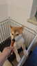 麦富迪 宠物狗狗零食 成犬幼犬训狗奖励鸭肉干400g 实拍图