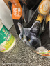 亿迪 猫粮幼猫成猫10斤全价国产布偶流浪猫蓝猫英短全阶段专用 实拍图