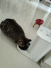 小佩智能自动喂食器SOLO白色 猫碗猫狗喂食器定时定量猫咪自动投食器 实拍图
