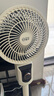 扬子电风扇空气循环扇落地家用卧室客厅宿舍台式桌面电扇 机械款-左右摇头 实拍图
