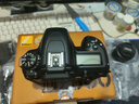 尼康（Nikon）D7500 单反相机 单机身（约2,088万有效像素 51点自动对焦系统） 实拍图
