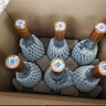 汾酒53度黄盖玻汾  清香型白酒 高度口粮酒  泡酒 53度 475mL 6瓶 整箱装非原箱 实拍图