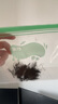 babycare婴儿理发器整机防水低音自动吸发儿童剃头发礼盒宝宝专用 海雾蓝 实拍图