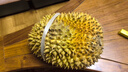 春公子泰国金枕榴莲【JD送货上门】鲜果榴莲礼盒高端新鲜水果中秋节送礼 【50年老树果】干包软糯 5-6斤【精品果含肉率高】1-2个果 实拍图
