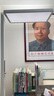 京东京造【国家补贴】长颈鹿2代立式护眼台灯学习灯全光谱普瑞灯珠大路灯 实拍图