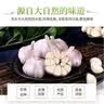 河南大蒜新干蒜紫皮精品小龙虾烧烤食材大蒜 净重3斤新干蒜 实拍图