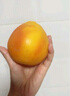 京鲜生 南非进口红心西柚/葡萄柚6粒装超大果 单果300g起 新鲜水果  实拍图