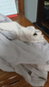 浪莎内裤女高腰纯棉收腹抗菌底裤4条大码无痕收小肚子提臀女士内裤 实拍图