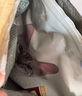 冠能猫粮成猫猫粮鸡肉味7kg 全价猫粮 稳固免疫 适口性强 实拍图