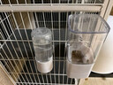 汤琪宠物笼子专用悬挂式自动喂食器饮水器猫喂水器兔子食盆喂水小宠 灰色喂水器520ML 实拍图