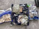 初鲜鲜冻鱿鱼头鱿鱼须 400g 5-7只 铁板鱿鱼烧烤火锅食材  海鲜送礼 实拍图