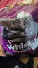 伟嘉成猫猫粮 夹心粮10kg牛肉味全价猫粮 亮毛均衡营养布偶蓝猫猫粮 实拍图