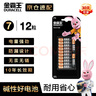 金霸王(Duracell)5号碱性电池12粒装  适用博朗耳温枪/血糖仪/鼠标/键盘/血压计/电子秤/遥控器/儿童玩具 实拍图
