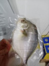 环球水产 拉花二去金鲳鱼520g/2条装 去鳃去内脏 鱼类生鲜 烧烤食材 海鲜 实拍图