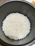 东芝（TOSHIBA）迷你电饭煲营养发芽米家用电饭锅2-3人 IH立体加热多功能2升迷你电饭锅双预约 RC-7HSC 实拍图