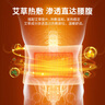 立姿（lizi）德国品牌 护腰带配件 电加热垫片可调节发热热敷 实拍图