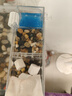 宠小帅鱼缸过滤器三合一壁挂式水族箱增氧过滤增氧盒生态造景循环净水器 【三格】过滤仓 (适用30-40cm鱼缸) 实拍图
