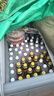 可口可乐（Coca-Cola）汽水碳酸饮料330ml*24罐*2箱 家庭组合装 新老包装随机发 可乐24罐+芬达24罐（热卖） 实拍图