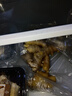 滇鲜生正宗云南小黄姜 新鲜生姜 农家自种 调味新鲜食材蔬菜 食用月子姜 精选小黄姜 1斤 实拍图