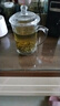 VTyee两只/单只装玻璃杯冲泡茶杯子带盖 耐热家用无铅加厚办公室杯子 EZ1011盖杯 360ml 2只 实拍图