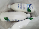 天润（TERUN）新疆特产 阿尔泰饮用型风味发酵乳低温酸奶 家庭装 1kg 酸奶 实拍图