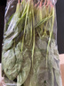 大菠菜300g 实拍图