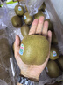 佳沛（zespri）绿奇异果特大果22-25个原箱装单果约133-176g 水果礼盒猕猴桃 实拍图