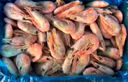 禧美海产加拿大熟冻北极甜虾1斤/袋 65-85只 (MSC认证) 即食 海鲜水产 实拍图