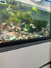 当贝智能生态鱼缸1Ultra 一体缸自循环鱼缸+希腾聚财山造景套餐 实拍图