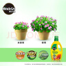 美乐棵 植物通用营养液磷酸二氢钾花肥肥料花卉绿萝发财树植物营养液1L 实拍图