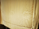 水星家纺棉被子棉花被子被芯纯棉A类新疆棉双人约3斤200x230cm 实拍图