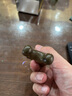 同仁堂檀木按摩梳子头皮放松按摩棒刮痧头部经络按摩刷父亲节送长辈礼物 实拍图