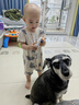 HELLOJOY 狗狗零食牛肉棒牛肉干条训狗奖励零食成犬幼犬 营养牛肉棒450g 实拍图