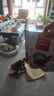 麦富迪狗狗零食 奢华营养鸭肉干400g成幼犬磨牙训练奖励解馋宠物零食 实拍图