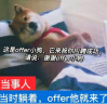 疯狂小狗小耳朵冻干夹心狗粮泰迪比熊中小型幼成犬通用护肠胃1.5kg犬粮3斤 实拍图