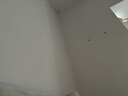 九洲鹿床单四件套床上用品磨毛秋冬季床单被罩被套200*230cm 实拍图