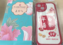 ALittleFlower【平安喜乐】适用iPhone16ProMax手机壳苹果16ProMax保护套全包镜头彩绘小羊皮男女硅胶软壳新年款 实拍图