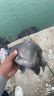 宜品达鱼饵海钓饵料血蚕钓鱼海竿鲫鱼鲶鱼专用路滑饵料血蚕专钓翘嘴 【连杆爆护 专攻巨物】买三赠二 实拍图