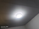 欧普源兴灯具大全2025款客厅卧室灯餐厅灯客厅吸顶灯卧室灯led吸顶灯客厅 黑谍影30cm白光24w 其它 其它 实拍图