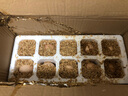 谷物鲜鸡蛋 农户散养新鲜鸡蛋 单枚50g±5 15枚（50克/枚） 实拍图